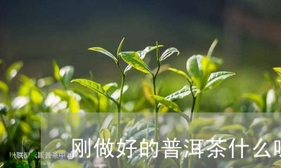 刚做好的普洱茶什么味/2023092993016