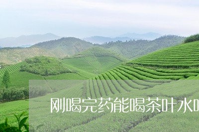 刚喝完药能喝茶叶水吗/2023061195038