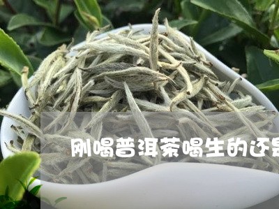 刚喝普洱茶喝生的还是熟的/2023051017450