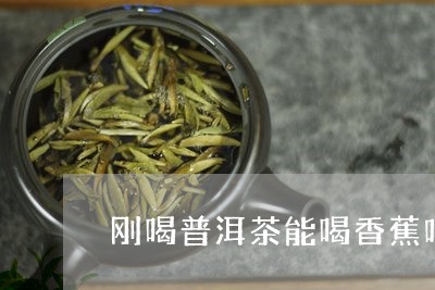 刚喝普洱茶能喝香蕉吗/2023092713070