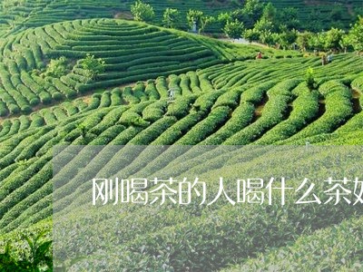 刚喝茶的人喝什么茶好/2023060801682