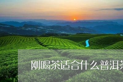 刚喝茶适合什么普洱茶/2023100619482