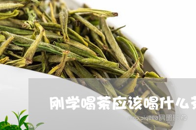 刚学喝茶应该喝什么茶/2023060842714