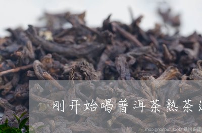 刚开始喝普洱茶熟茶还是生茶/2023052936272