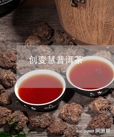 创变慧普洱茶/2023042583866