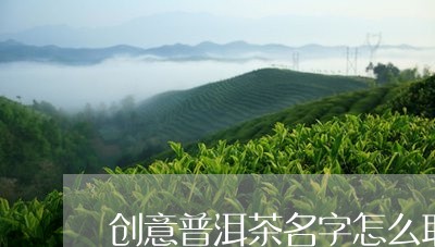 创意普洱茶名字怎么取的/2023112808259