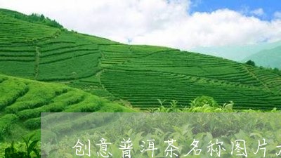 创意普洱茶名称图片大全集/2023110559270