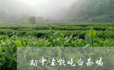 初中生能吃白茶吗/2023061535127