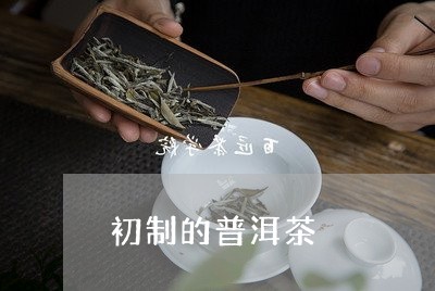 初制的普洱茶/2023042912554