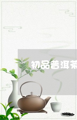 初品普洱茶古树生茶/2023120561671