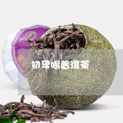 初孕喝普洱茶/2023112604838