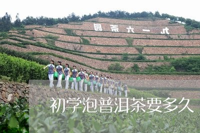 初学泡普洱茶要多久/2023120556047