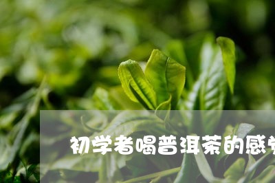 初学者喝普洱茶的感觉/2023061595050