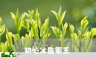 初心冰岛茶王/2023090744137