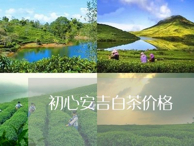 初心安吉白茶价格/2023061533835