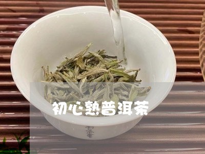 初心熟普洱茶/2023042727591