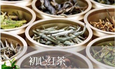 初心红茶/2023121963047