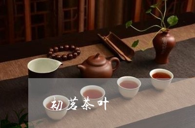 初茗茶叶/2023090196260