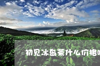 初见冰岛茶什么价格呢/2023061285250