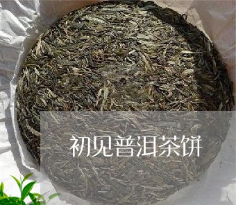 初见普洱茶饼/2023042820299