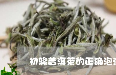 初骏普洱茶的正确泡法/2023092729483