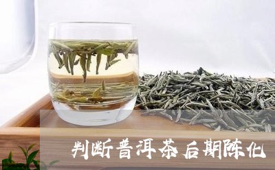 判断普洱茶后期陈化/2023070885838