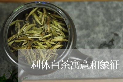 利休白茶寓意和象征/2023121770693