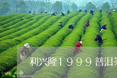 利兴隆1999普洱茶/2023062833043