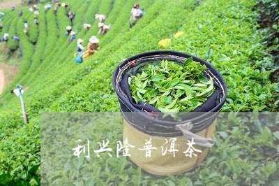 利兴隆普洱茶/2023042772306