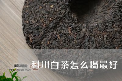 利川白茶怎么喝最好/2023081365170