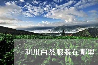 利川白茶服装在哪里/2023081337270