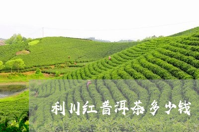 利川红普洱茶多少钱/2023120516260