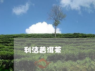 利洁普洱茶/2023102563794