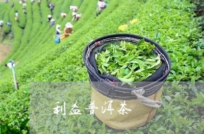 利益普洱茶/2023090574915