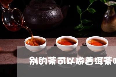 别的茶可以做普洱茶吗/2023100700715