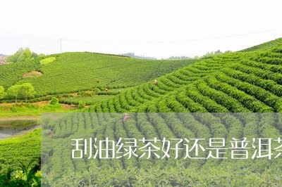 刮油绿茶好还是普洱茶好/2023102502947