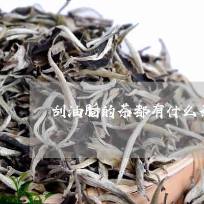 刮油脂的茶都有什么茶/2023071502605