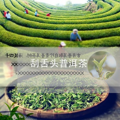 刮舌头普洱茶/2023042750854