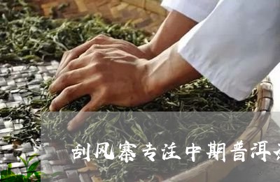 刮风寨专注中期普洱茶/2023080307352