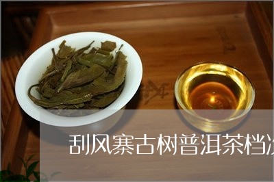 刮风寨古树普洱茶档次/2023062058493