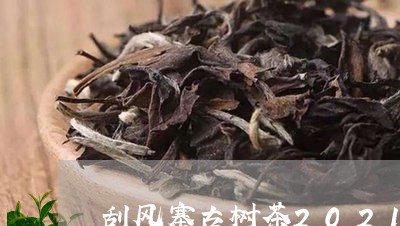 刮风寨古树茶2021价格/2023051255950