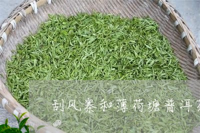 刮风寨和薄荷塘普洱茶/2023092863705