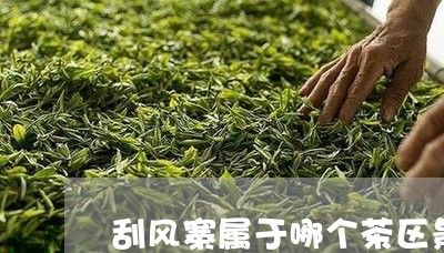 刮风寨属于哪个茶区景迈古树老茶头/2023060459304