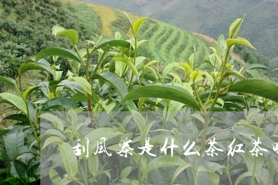 刮风寨是什么茶红茶吗/2023071654935