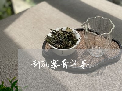 刮风寨普洱茶/2023042914468