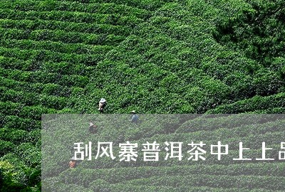 刮风寨普洱茶中上上品/2023080100373