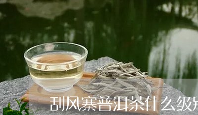 刮风寨普洱茶什么级别/2023121516139