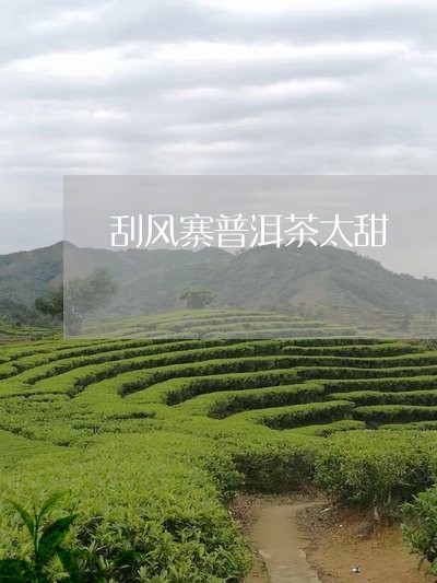 刮风寨普洱茶太甜/2023101689603