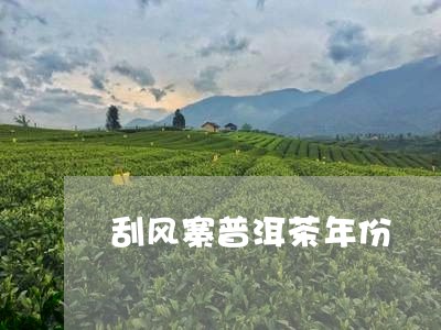 刮风寨普洱茶年份/2023112523036