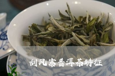 刮风寨普洱茶特征/2023082884826